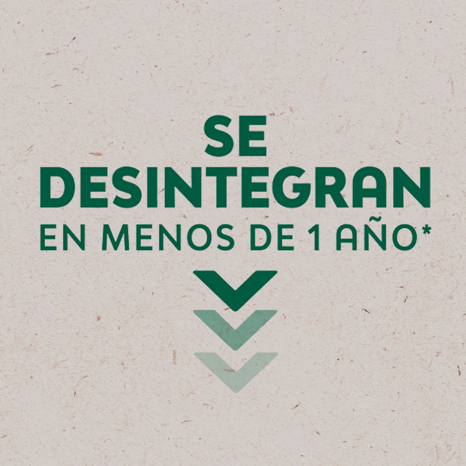 Toallas Femeninas..Jpg