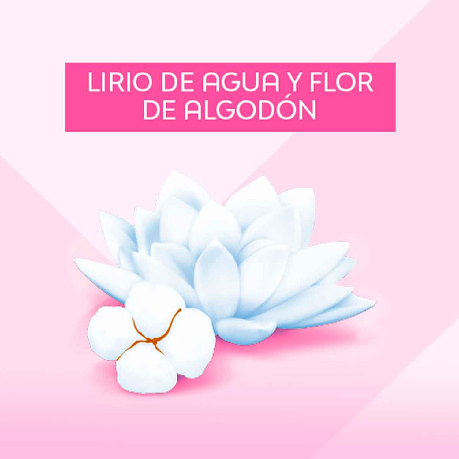 Jabon Intimo Para Mujer