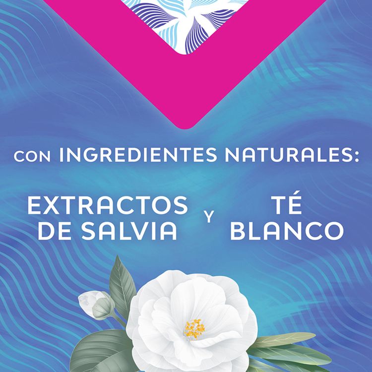 Toallas Femeninas..Jpg